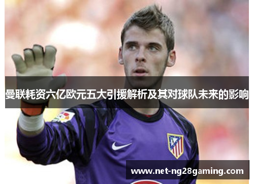 曼联耗资六亿欧元五大引援解析及其对球队未来的影响