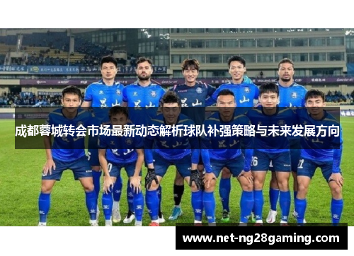 成都蓉城转会市场最新动态解析球队补强策略与未来发展方向
