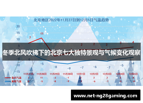 冬季北风吹拂下的北京七大独特景观与气候变化观察