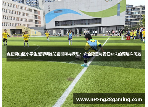 合肥蜀山区小学生足球训练悲剧回顾与反思：安全隐患与责任缺失的深层次问题