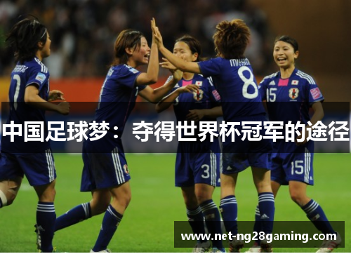 中国足球梦：夺得世界杯冠军的途径