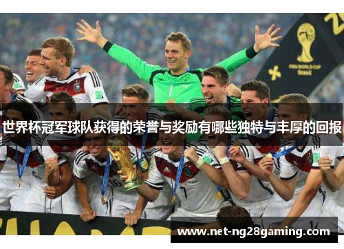 世界杯冠军球队获得的荣誉与奖励有哪些独特与丰厚的回报