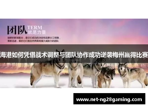海港如何凭借战术调整与团队协作成功逆袭梅州赢得比赛