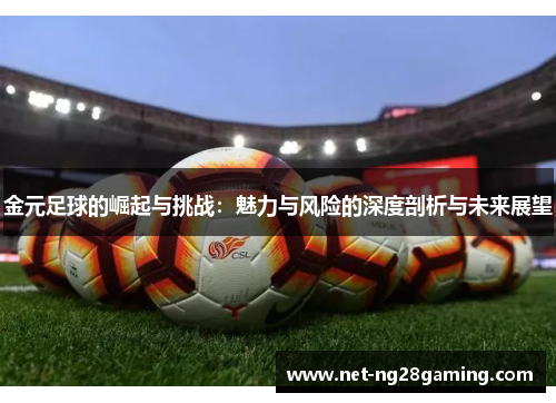 金元足球的崛起与挑战：魅力与风险的深度剖析与未来展望