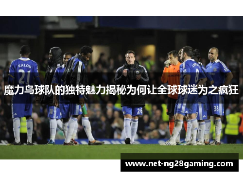 魔力鸟球队的独特魅力揭秘为何让全球球迷为之疯狂